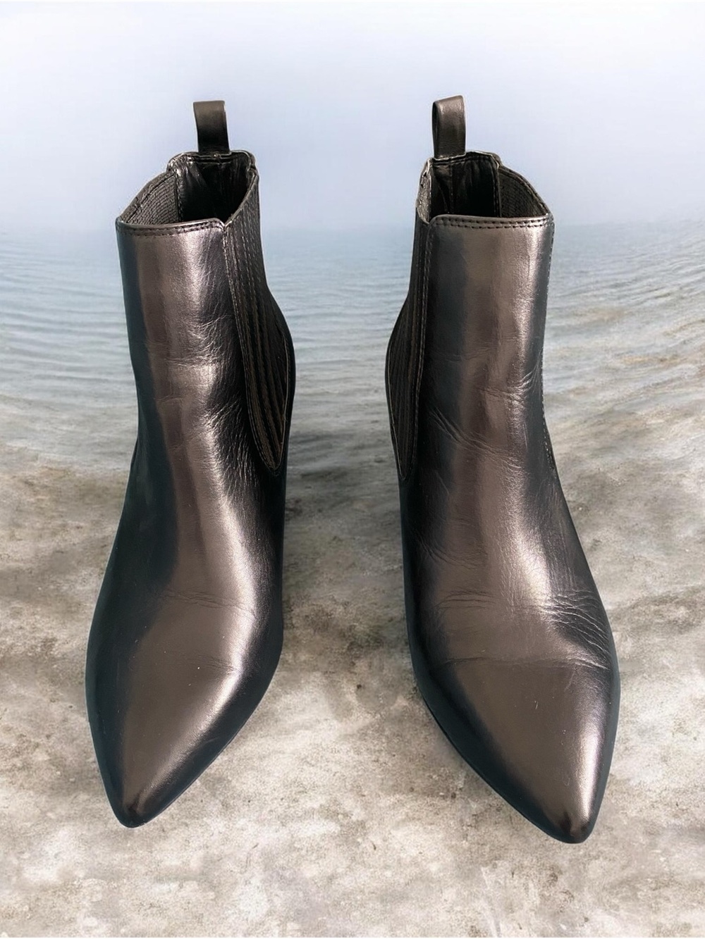 Women's Black Pointed Toe Bleecker and Bond Ankle Boots